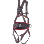 C0801000399999_LANEX PSHLX2MXL testhevederzet LX2